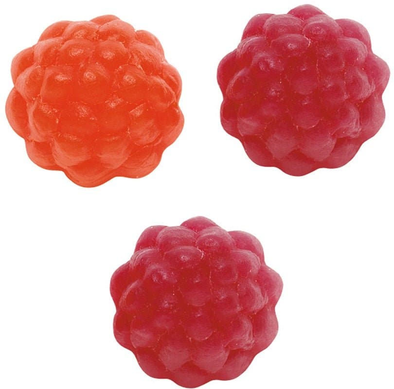 Wild Berry Bites (Skogsbär)